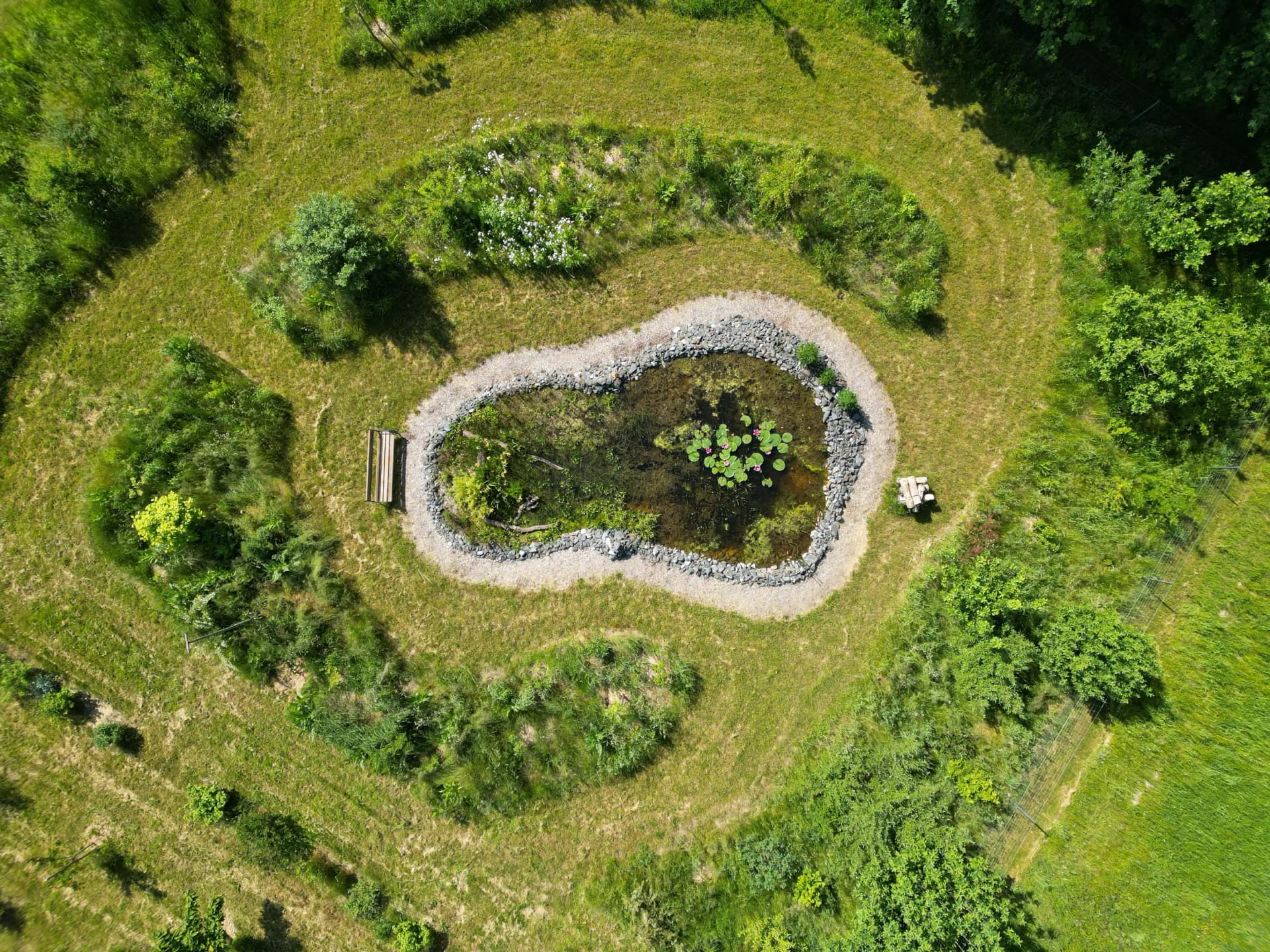 Vogelperspektive unser eigener kleiner Naturgartenteich