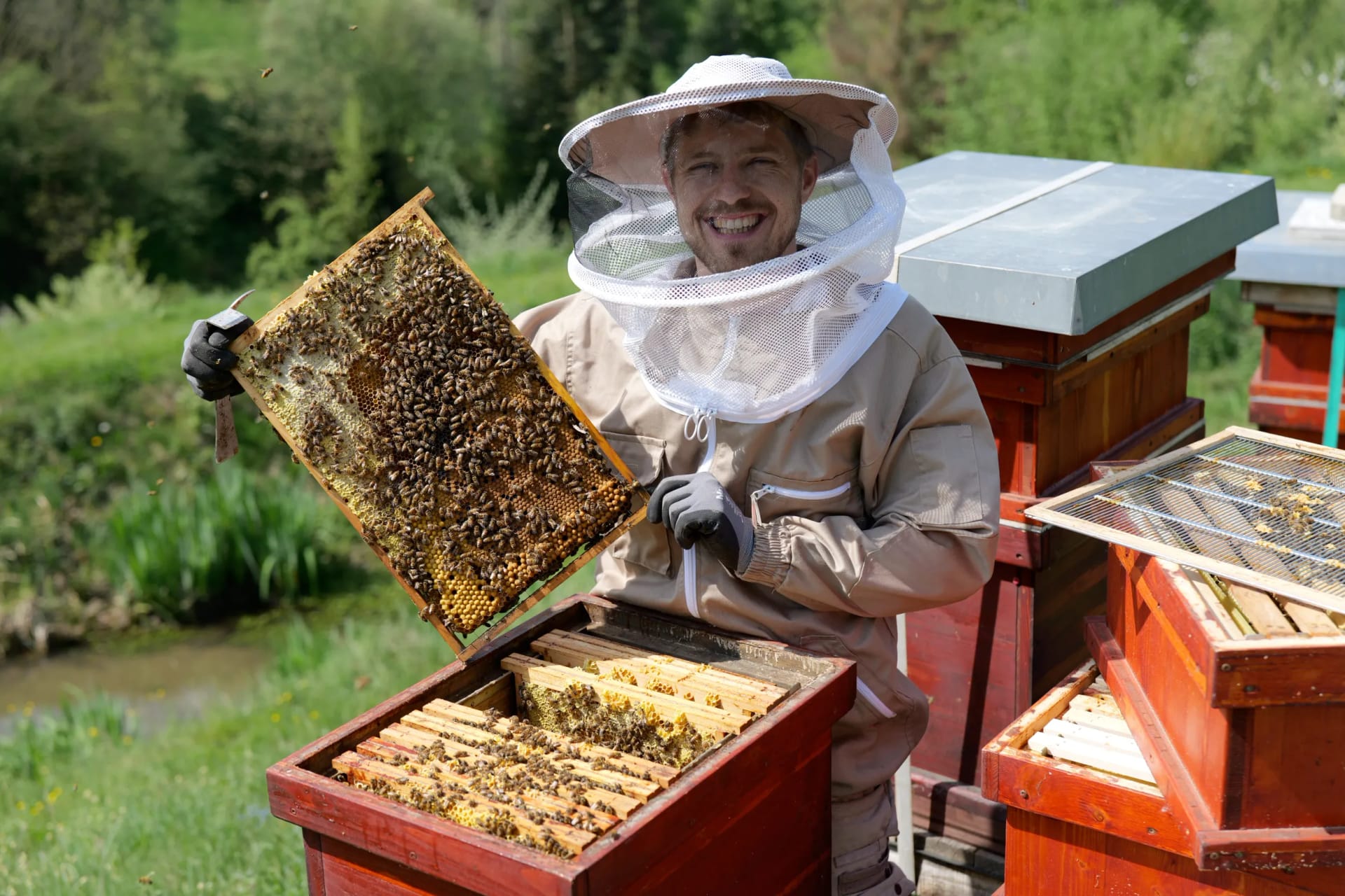 Imker Matthias Amon bei der Bienenarbeit, mit Rähmchen in der Hand