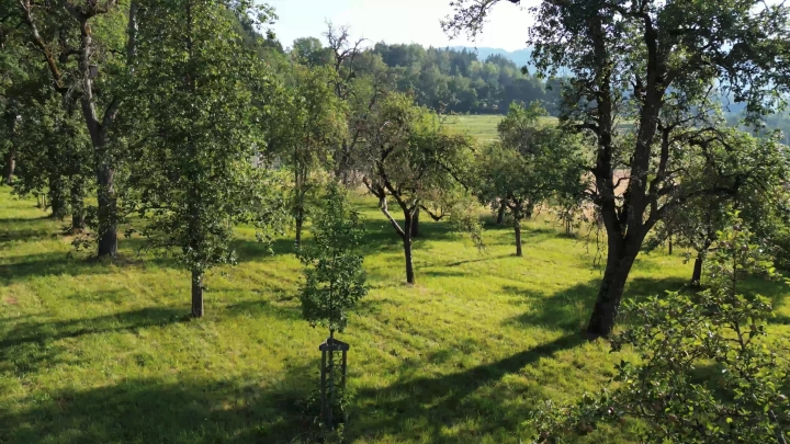 Dokumentation und Bestimmung einer Probe am Simonhof